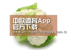 产品名称九