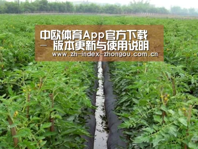 种植基地三