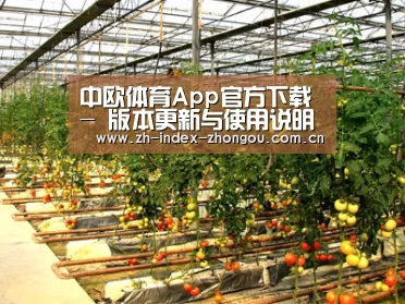 种植基地二(图1)