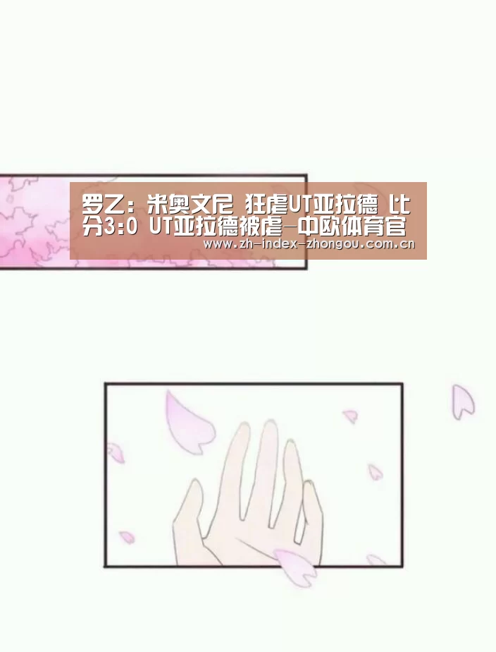中欧体育官方网站最新版