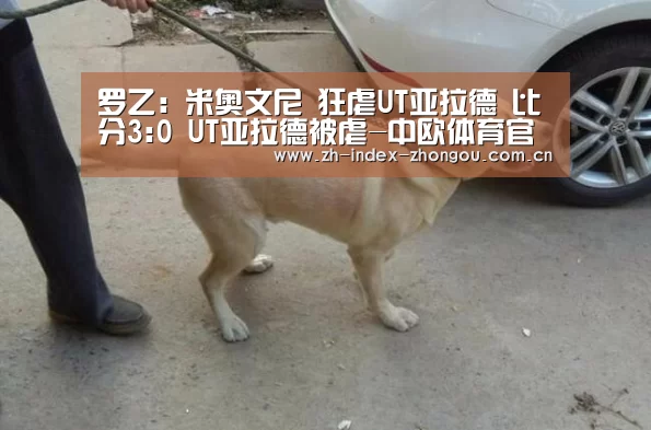 中欧体育官方网站下载