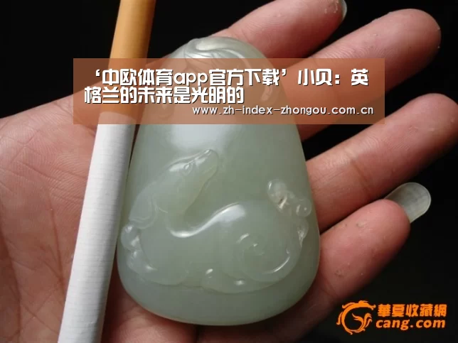 中欧体育官方网站下载